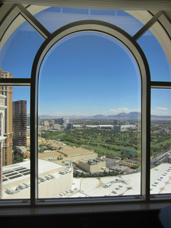The view
